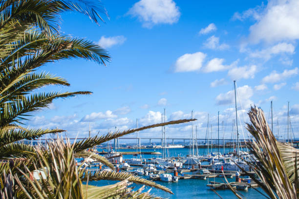 istock pier of yachts 1129106854
