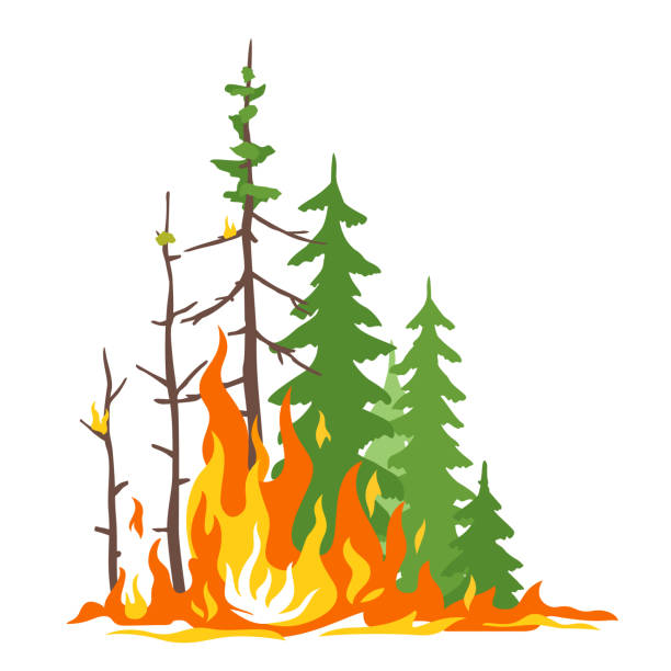 illustrazioni stock, clip art, cartoni animati e icone di tendenza di illustrazione poster incendio nella foresta - incendio