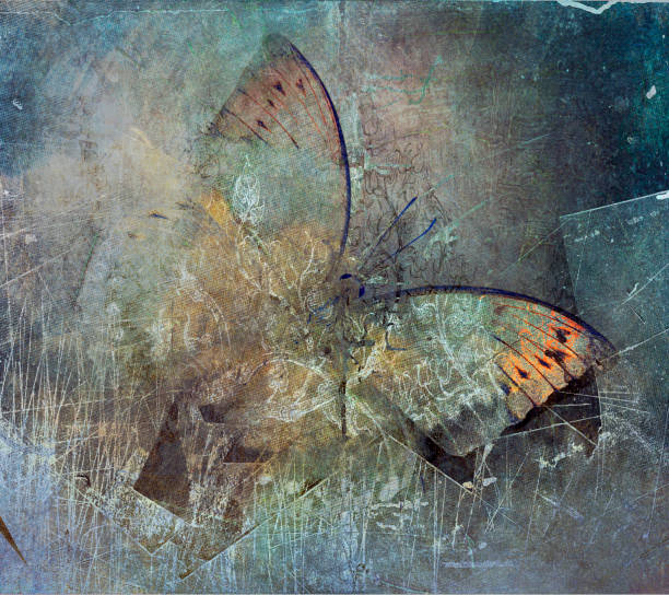 istock a grunge butterfly design wallpaper 1129108559