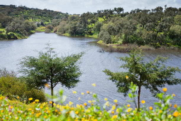 istock Albufeira, da Barragem -  spring meadows by the water, Avis, Portugal. 1129108649