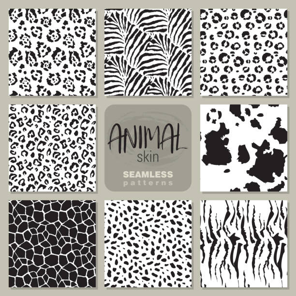 kolekcja ośmiu wzorów wektorowych bez szwu zebra skóry zwierząt, lampart, jaguar, krowa żyrafa. - fur pattern stock illustrations