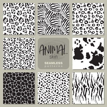 Collection of eight black and white vector seamless patterns with animal skin zebra, leopard, jaguar, giraffe cow. Set of Endless modern background.