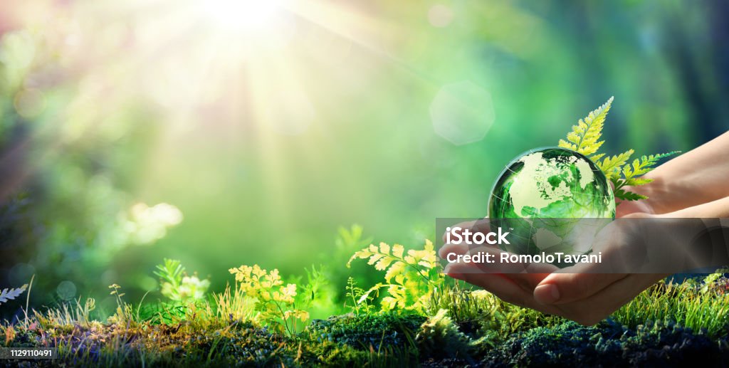 Hände halten Globus Glas im grünen Wald - Umwelt-Konzept - Element des Bildes von der NASA eingerichtet - Lizenzfrei Umweltschutz Stock-Foto