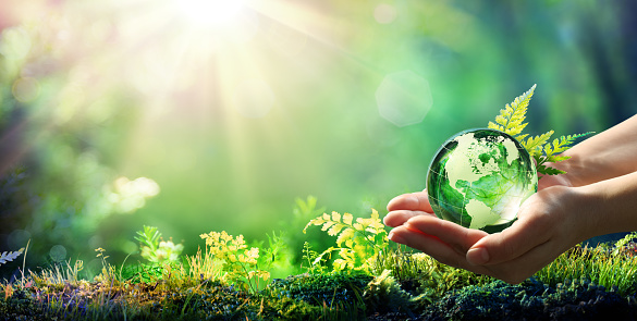 Manos sosteniendo el globo de cristal en bosque verde - medio ambiente concepto - elemento de imagen proporcionada por la NASA photo