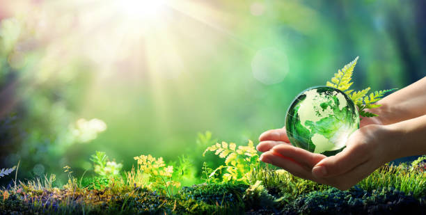 руки, держащие глобус стекла в зеленом лесу - концепция окружающей среды - элемент изображения, меблированные наса - день фотографии стоковые фото и изображения