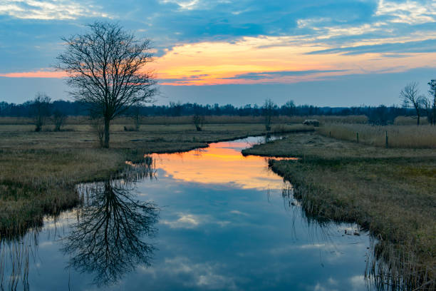 tramonto sulla riserva naturale weerribben-wieden a overijssel, nei paesi bassi. - wieden weerribben foto e immagini stock