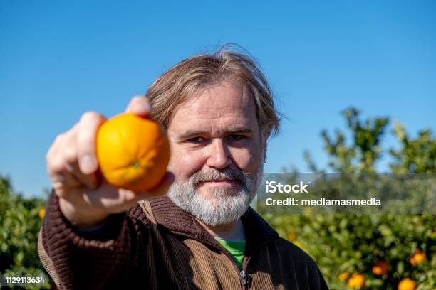 Landwirt Mit Einem Tablet Zeigt Eine Orange Auf Seinem Gebiet Des Anbaus Stockfoto und mehr Bilder von Agrarbetrieb