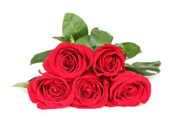 istock Bouquet of red roses isolated on white background 1129114299