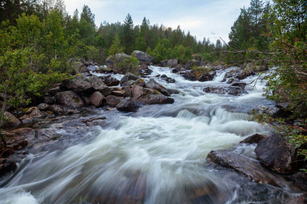 istock Norwegian landscape with river rapids Telemark Norway Scandinavia 1129118029