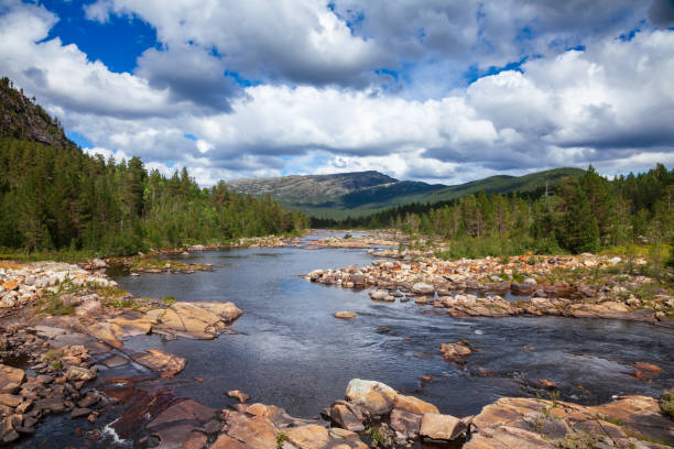 Norwegian summer landscape with Otra river Aust-Agder County, Norway, Scandinavia
