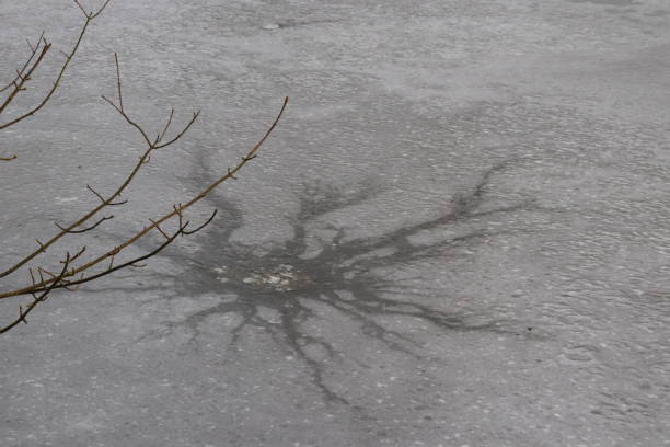 istock Frozen pond in woods in winter 1129118836