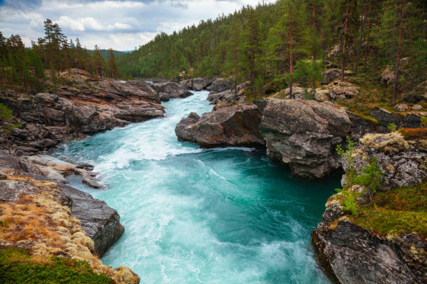 istock Sjoa river rapids Oppland Norway Scandinavia 1129119449