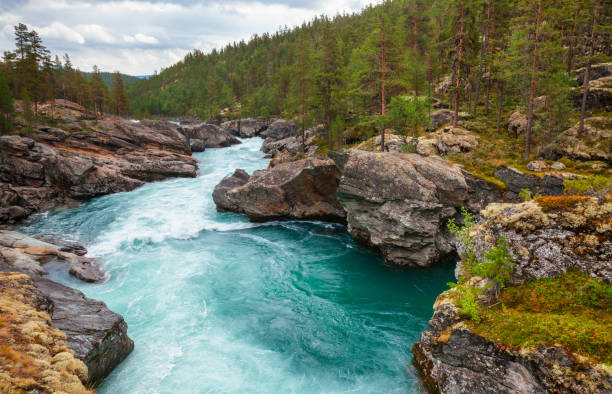 istock Sjoa river rapids Oppland Norway Scandinavia 1129119454