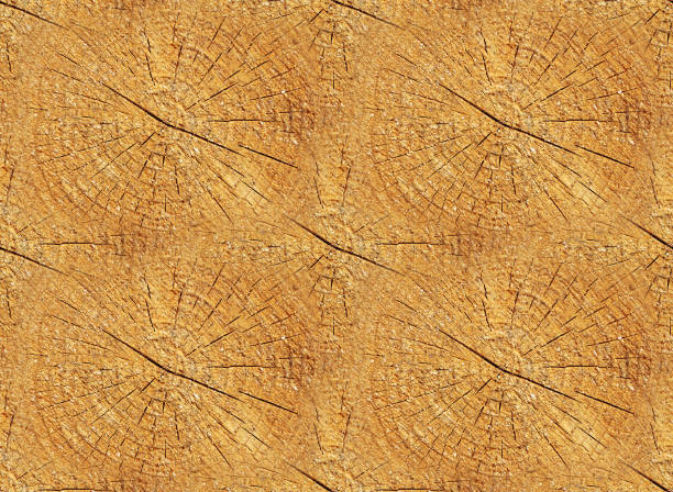 istock Cross section of tree trunk as a seamless wooden background 1129120110