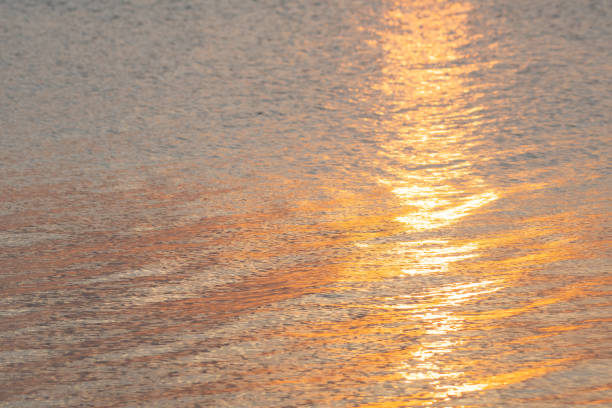 The ocean reflects the golden light stock photo