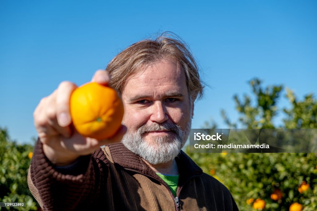 Bauer zeigt eine Orange auf seinem Gebiet - Lizenzfrei Agrarbetrieb Stock-Foto