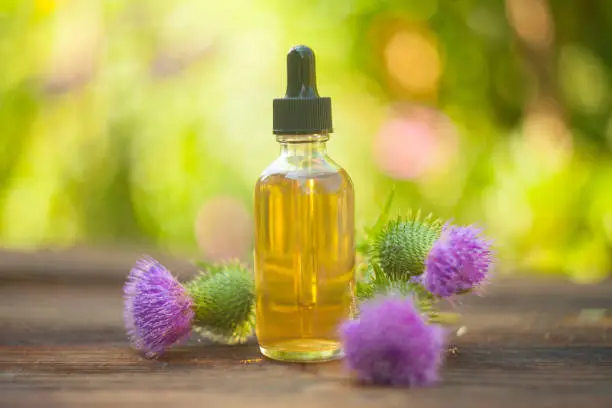 thistle essential oil in a beautiful bottle on the table