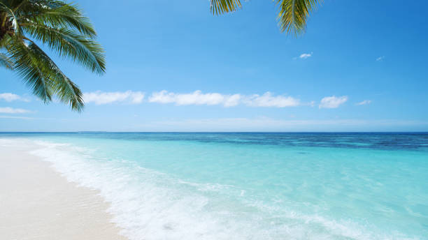 istock Tropical Paradise Beach And Beautiful Seascape 1129124655