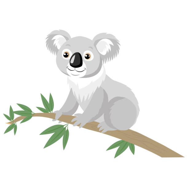 медведь коала на древесной ветке с зелеными листьями. - koala stock illustrations