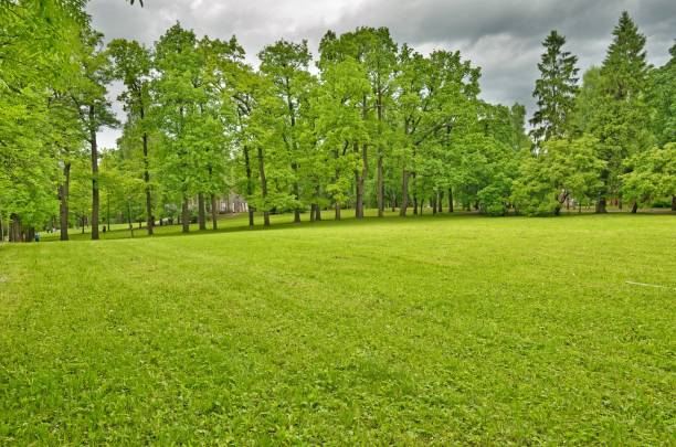 istock The natural landscape in the spring. 1129126025