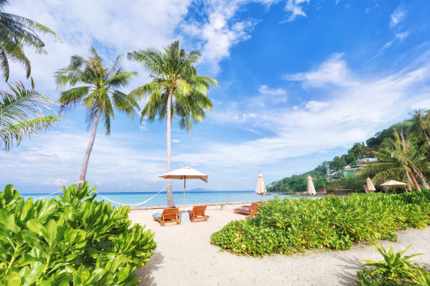 istock Asian tropical beach paradise in Thailand 1129126372