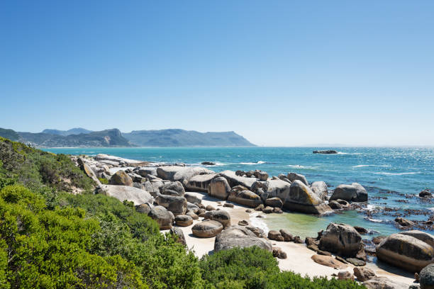 istock Boulder Beach in Simon's Town in South Africa. 1129129390