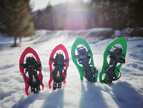 green and pink snowshoes in the snow