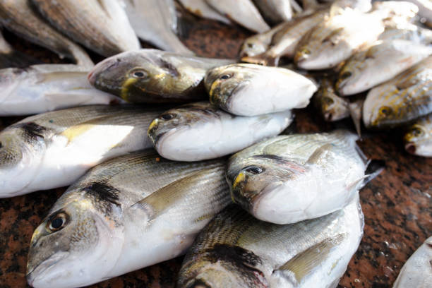 istock Fresh fishes at market 1129132045