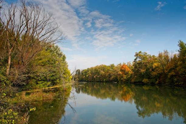 istock Autumn landscape on Danubian floodplain, Slovakia, Europe 1129133467