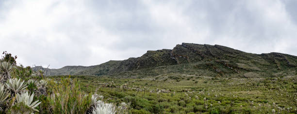 istock Sector of the Siecha lagoons in the Chingaza paramo C 1129136972