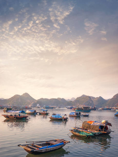 The Harbour On Cat Ba Island In Halong Bay, Vietnam The Harbour On Cat Ba Island In Halong Bay, Vietnam haiphong province photos stock pictures, royalty-free photos & images