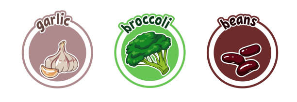 ilustraciones, imágenes clip art, dibujos animados e iconos de stock de tres pegatinas con diferentes verduras. ajo, brócoli y frijoles. - bean avocado radish nut