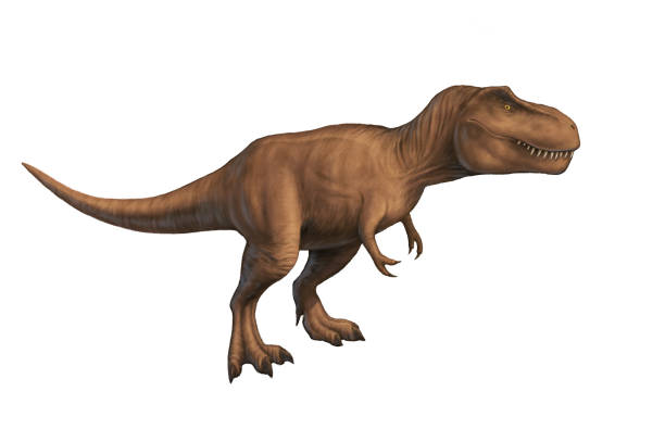 istock Tyrannosaurus rex isolated 1129145887