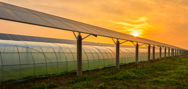 sonnenkollektoren auf dem gewächshaus unter der sonne in den sonnenuntergang - gewächshäuser stock-fotos und bilder