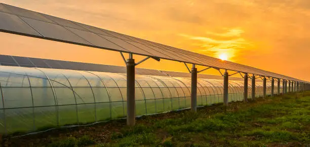 Solar photovoltaic panels on the greenhouse under the sun in the sunset