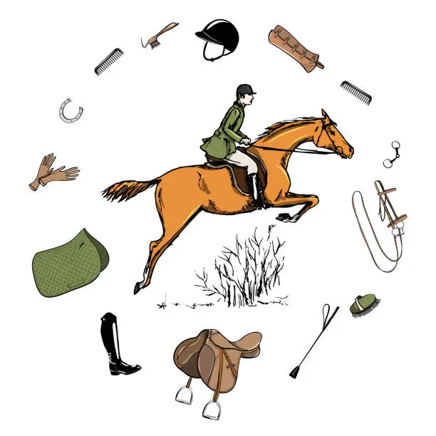 Vector illustration of Equestrian sport with horse rider style. Saddlery in leather belt frame with bit, saddle, bridle, stirrup, brush, blanket horse riding gear tack grooming tool.