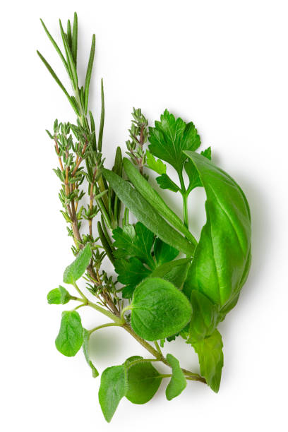 istock Bundle of freshly picked provence herbs isolated on white from above. 1129148312