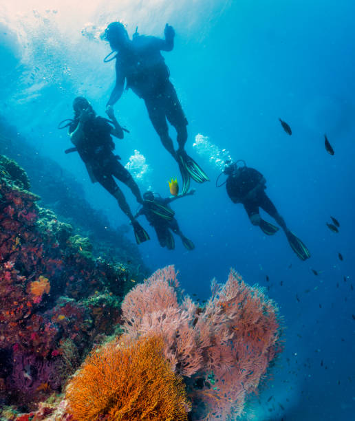 family of scuba divers on vibrant coral reef - coral break imagens e fotografias de stock