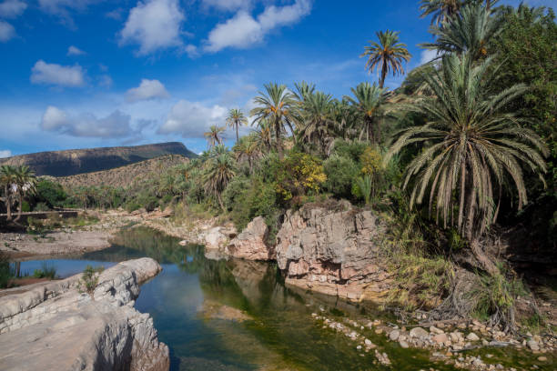 дата ладони, вода и голуб�ое небо - morocco landscape mountain mountain range стоковые фото и изображения