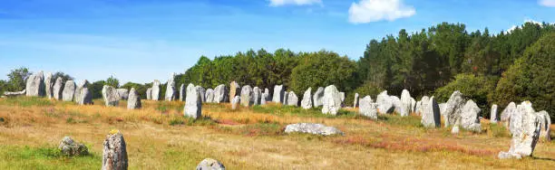 Rows of 3000 menhirs 6000 years old. They are erect stones, planted vertically.