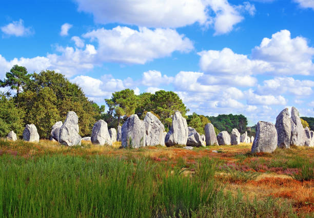 megalithen von kermario in der nähe von carnac, bretagne, frankreich. - hünengrab stock-fotos und bilder