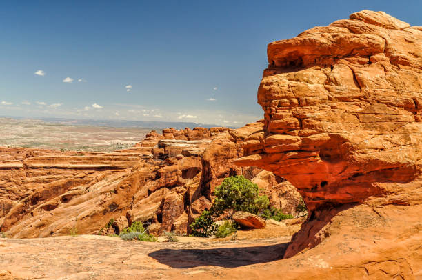 istock Gorilla Face at Arches National Park 1129162391