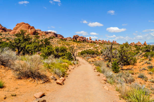 istock Desert Pathway in Arches National Park 1129162403