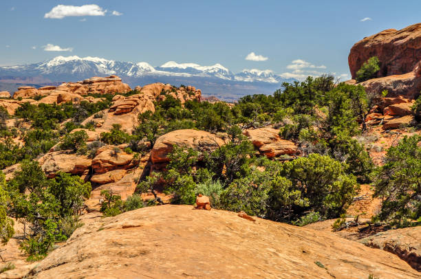 istock Ponderosa Pine Covered Sandstone Ridge 1129162580