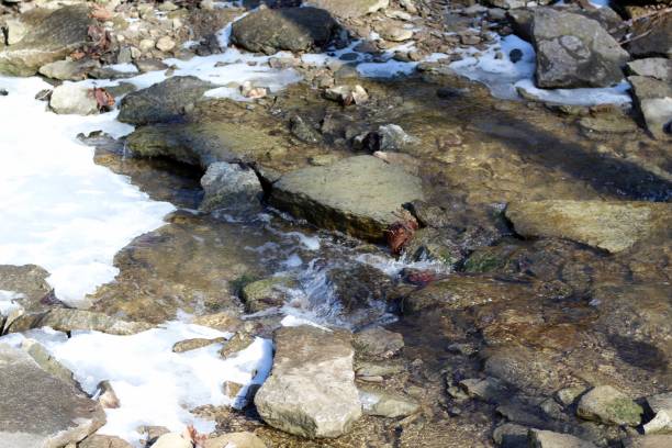 istock Snow in the Creek Water 1129163757
