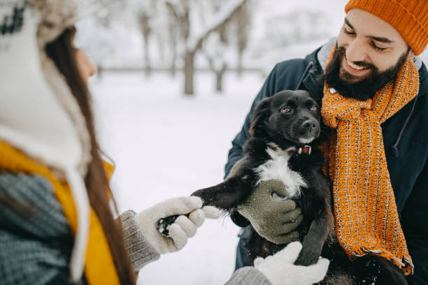 istock Couple in the snow play with dog 1129163921