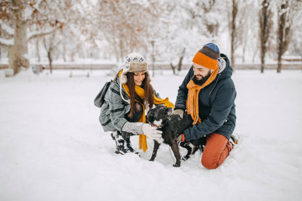 istock Couple in the snow play with dog 1129164026