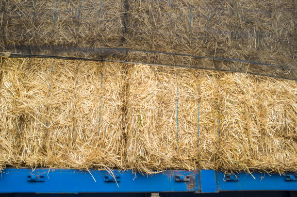 istock Heavy trailer truck loaded with straw bales 1129164310