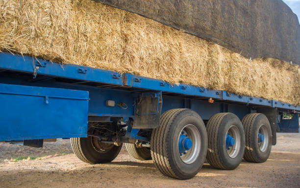 istock Heavy trailer truck loaded with straw bales 1129164312