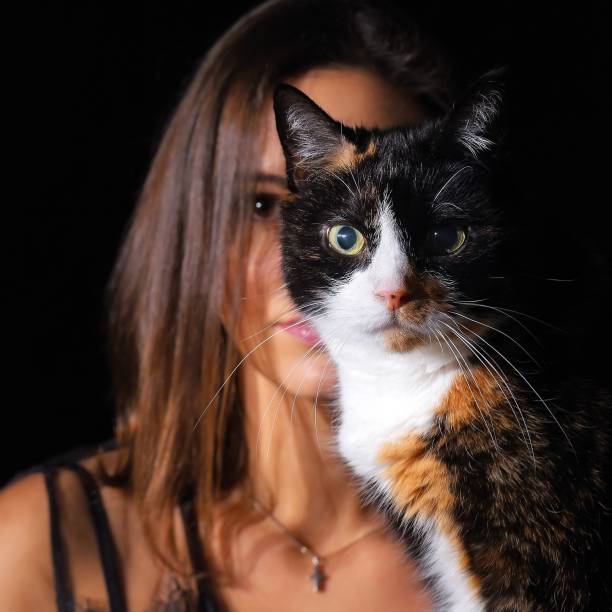 istock Beauty And The Cat 1129164541
